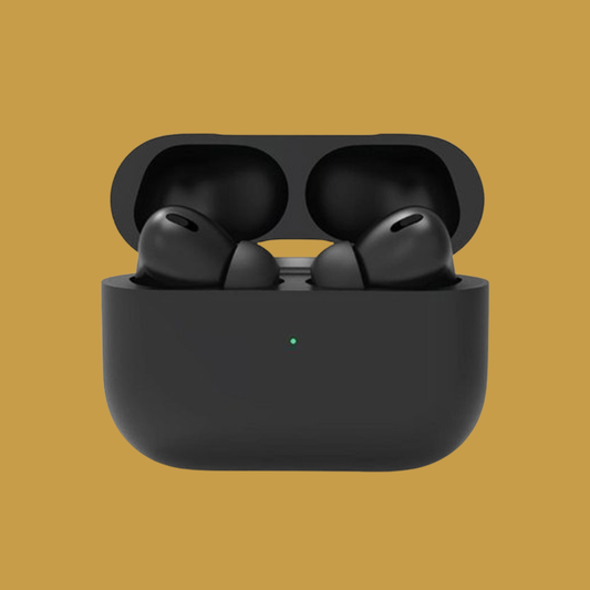 Pro 2 Earbuds in black