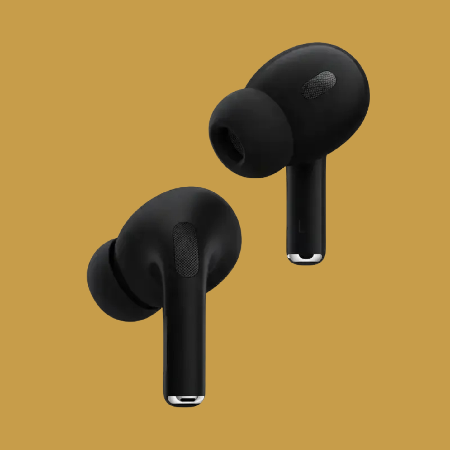 Pro 2 Earbuds in black